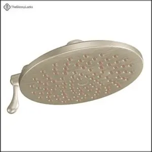 Moen Velocity Brushed Nickel Two-Function