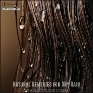 Natural Remedies for Dry Hair