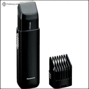 Panasonic ER240B Beard & Mustache B00006WNQ8