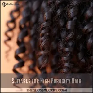 Suitable for High Porosity Hair