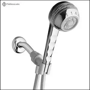 Waterpik Original Massage Shower Head