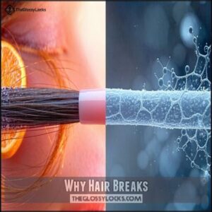 Why Hair Breaks