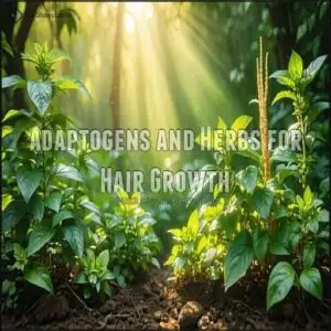 Adaptogens and Herbs for Hair Growth