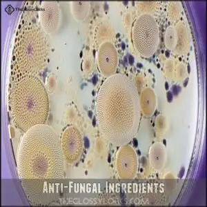 Anti-Fungal Ingredients