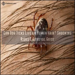 can dog ticks live on human hair can dog ticks live on human hair