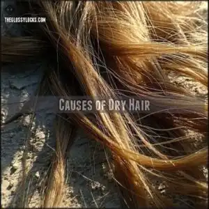 Causes of Dry Hair