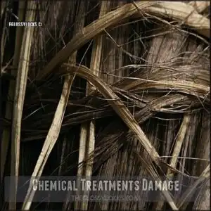 Chemical Treatments Damage
