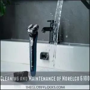 Cleaning and Maintenance of Norelco 6100