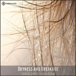 Dryness and Breakage Dryness and Breakage