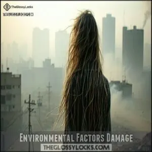 Environmental Factors Damage