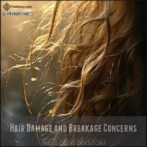 Hair Damage and Breakage Concerns Hair Damage and Breakage Concerns