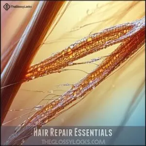 Hair Repair Essentials