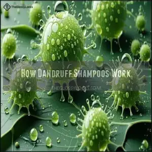 How Dandruff Shampoos Work