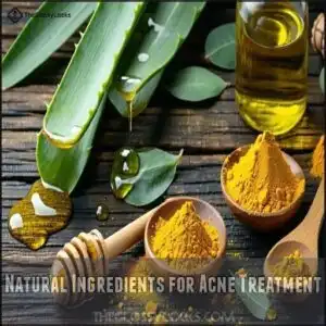 Natural Ingredients for Acne Treatment