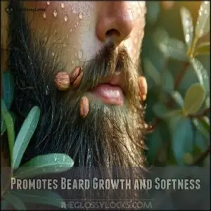 Promotes Beard Growth and Softness