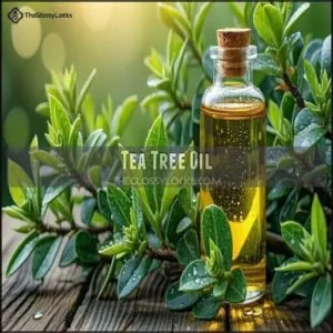Tea Tree Oil Tea Tree Oil