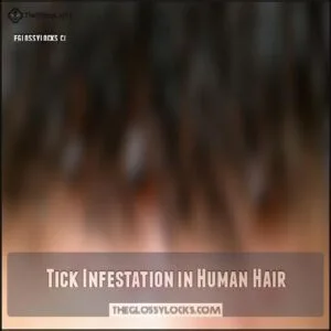 Tick Infestation in Human Hair