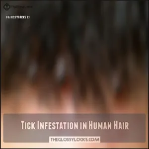 Tick Infestation in Human Hair Tick Infestation in Human Hair
