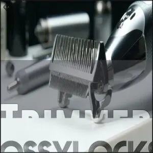 Trimmer