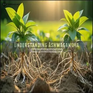Understanding Ashwagandha Understanding Ashwagandha