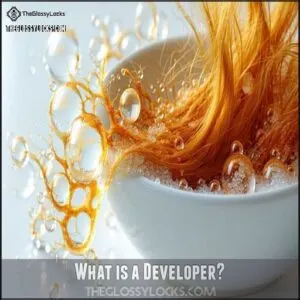 What is a Developer What is a Developer
