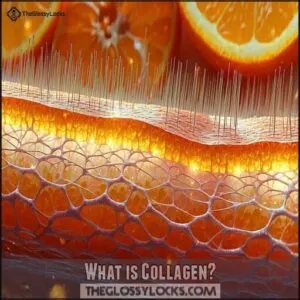 What is Collagen