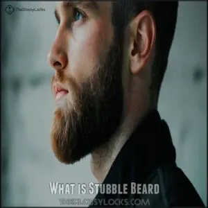 What is Stubble Beard