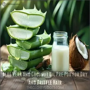 aloe vera and coconut oil pre poo for dry and brittle hair aloe vera and coconut oil pre poo for dry and brittle hair