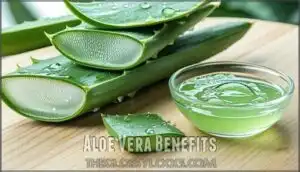 aloe vera benefits