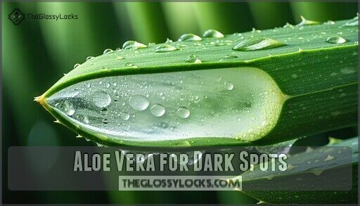 How to Use Aloe Vera for Dark Spots on Face: Natural Remedies Explained