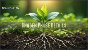 anagen phase details