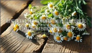 arnica and german chamomile for topical inflammation treatment arnica and german chamomile for topical inflammation treatment