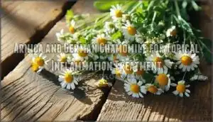 arnica and german chamomile for topical inflammation treatment