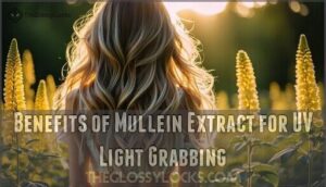 benefits of mullein extract for uv light grabbing