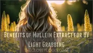 benefits of mullein extract for uv light grabbing