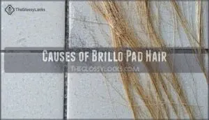 causes of brillo pad hair