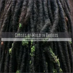 causes of mold in dreads