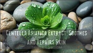 centella asiatica extract: soothes and repairs skin