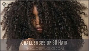 challenges of 3b hair