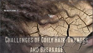 challenges of coily hair: dryness and breakage