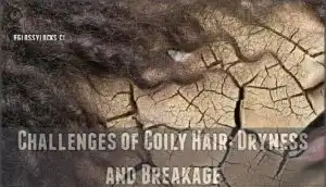 challenges of coily hair: dryness and breakage