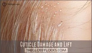 cuticle damage and lift