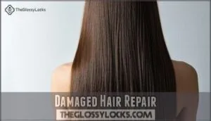 damaged hair repair