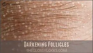 darkening follicles darkening follicles
