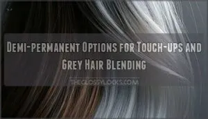 demi-permanent options for touch-ups and grey hair blending