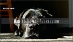 dog-to-human aggression dog-to-human aggression