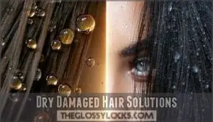 dry damaged hair solutions