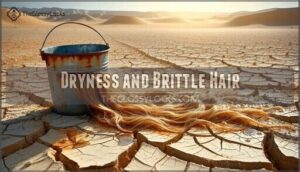 dryness and brittle hair