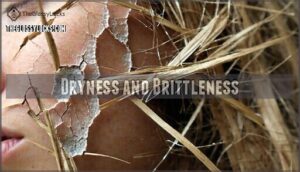 dryness and brittleness