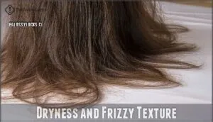 dryness and frizzy texture
